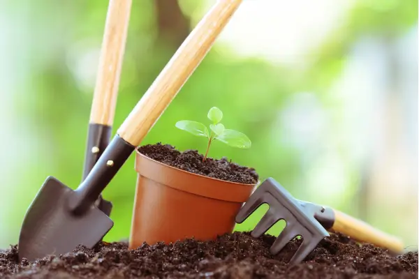  Como Planejar sua Horta do Zero: Guia Prático para Iniciantes