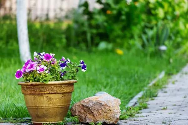 Flores e Cores: Combinações Perfeitas para Um Jardim Vibrante