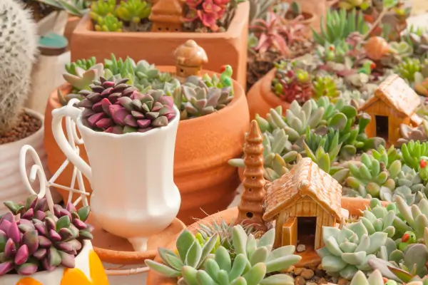 Do It Yourself: Projetos de Decoração para Jardins Pequenos
