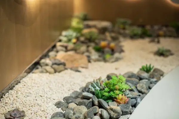 Temporadas Floridas: Como Decorar Seu Jardim Conforme as Estações