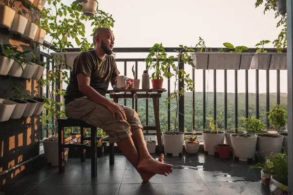 Planejamento Sustentável: Crie um Jardim Ecológico e Produtivo