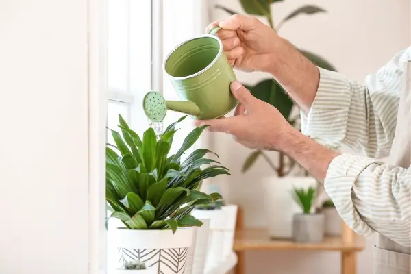 Do Papel à Terra: Como Criar o Projeto Ideal para seu Jardim